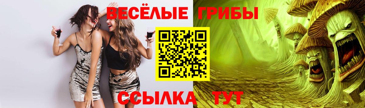 Галлюциногенные грибы мицелий Тейково